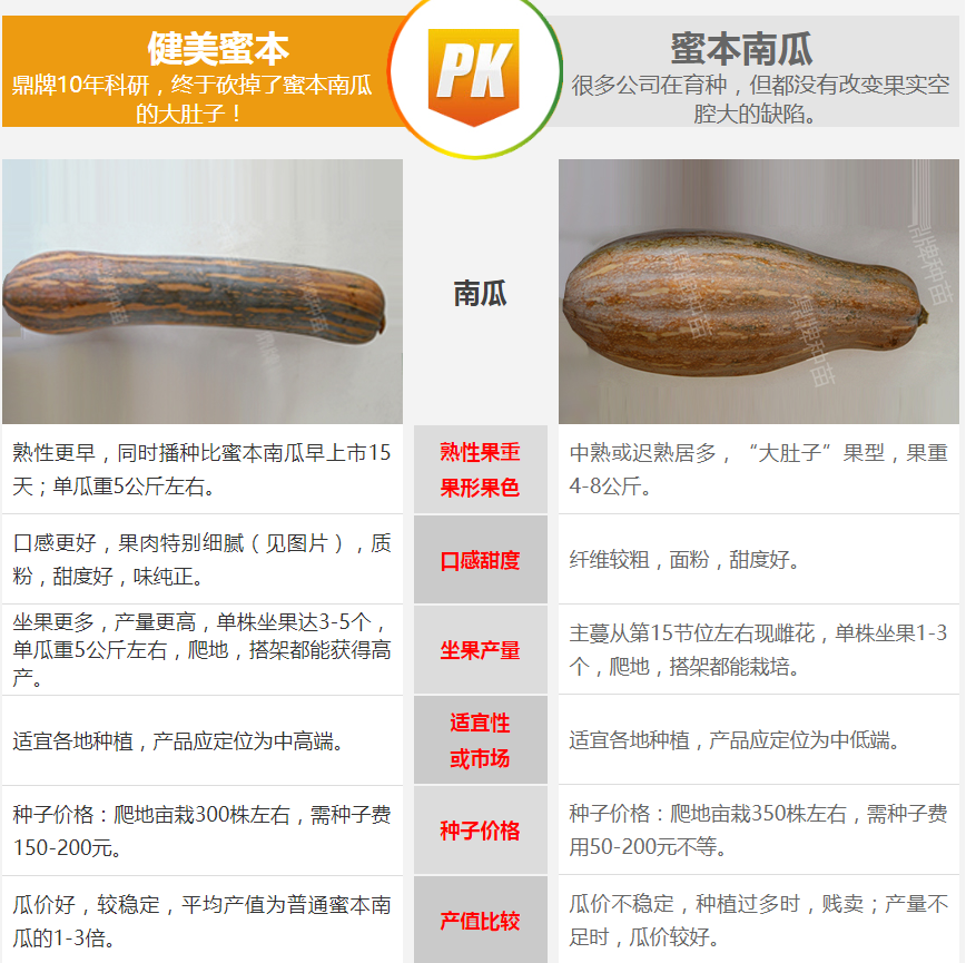 生吃都好吃南瓜新品種，沒(méi)有大肚子，肉質(zhì)更密致，農(nóng)戶試種下